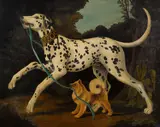 William Skilling, Two playful dogs, oil on canvas