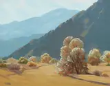 Sam Hyde Harris, Desert smoke trees
