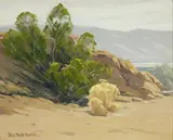 Sam Hyde Harris, Vista