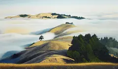 Sam Racina, Islands in Fog (On White Hill, Marin County), oil on canvas