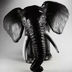 Jean-Baptiste Mondino, Group of Seven Plastic Toy Animal Portraits