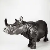 Jean-Baptiste Mondino, Group of Eight Plastic Toy Animal Portraits