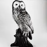 Jean-Baptiste Mondino, Group of Six Plastic Toy Animal Portraits