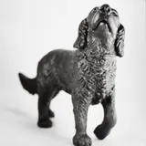 Jean-Baptiste Mondino, Group of Six Plastic Toy Dog Portraits