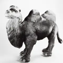Jean-Baptiste Mondino, Group of Seven Plastic Toy Animal Portraits