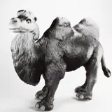 Jean-Baptiste Mondino, Group of Seven Plastic Toy Animal Portraits