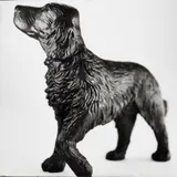 Jean-Baptiste Mondino, Group of Five Plastic Toy Animal Portraits