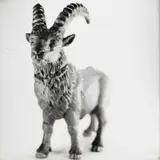 Jean-Baptiste Mondino, Group of Nine Plastic Toy Animal Portraits