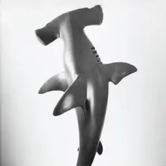 Jean-Baptiste Mondino, Group of Eight Plastic Toy Animal Portraits