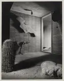 Raymond Loewy, Collection of Raymond Loewy Palm Springs House Ephemera