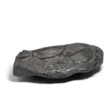 Steve Kestrel, Warm Currents (Sea Turtles), patinated bronze, incised 'S