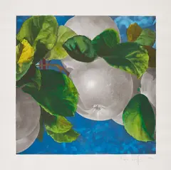 Karin Kneffel, Äpfel, 1996, Aquarell über Offset auf Maschinenbütten