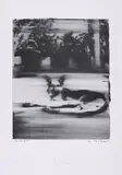 Gerhard Richter, Hund, 1965/93-95, Offset auf glattem Papier
