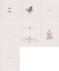 Kiki Smith, bee, squirrel, moth, bird, fly und bat, 1998, Jeweils: Lithografie auf Velin, mit auf Pergamin gedruckter Applikation, in betiteltem Umschlag