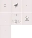 Kiki Smith, bee, squirrel, moth, bird, fly und bat, 1998, Jeweils: Lithografie auf Velin, mit auf Pergamin gedruckter Applikation, in betiteltem Umschlag