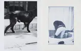 Christopher Wool, Konvolut von 2 Fotografien