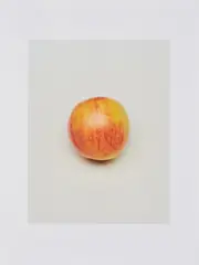 Claus Goedicke, F-6, 1998, C-Print auf Fujicolor Crystal Archive