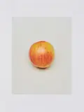 Claus Goedicke, F-6, 1998, C-Print auf Fujicolor Crystal Archive