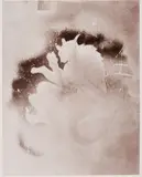Walter Dahn, Ohne Titel