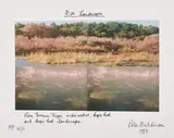 Peter Arthur Hutchinson, Fish Landscape, 1989, 4 C-Prints, collagiert auf leichtem Karton