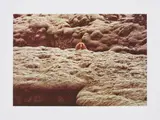 Roni Horn, Eldhraun, Iceland