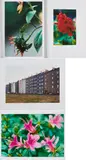 Thomas Struth, Konvolut von 1 Mappe und 1 Fotografie, a) Löwenzahnzimmer
