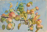 Kurt Kühn, Apfelbaumzweig, 1946, Aquarell auf Papier