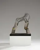 Brigitte und Martin Matschinsky-Denninghoff, Wirbel