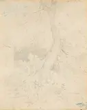 Carl Spitzweg, Baumstudie im Garten, Bleistiftzeichnung auf Papier