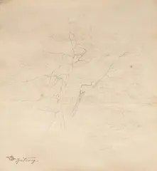Baumstudie by Carl Spitzweg, Bleistiftzeichnung auf Papier, sold Nov 2022
