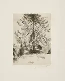 Lovis Corinth, Die Lärche (Aus: Am Walchensee), 1920, Radierung auf Van Gelder Zonen (Wasserzeichen)