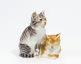 Katzenpaar by Meissen, 20.Jh, Porzellan, farbig staffiert, sold Nov 2022