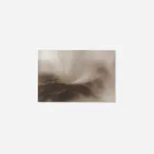 Hilary Brace, Untitled (9-01), 2001, charcoal on Mylar