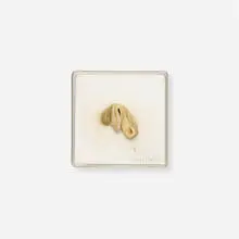 Hannah Wilke, Untitled, 1984, chewing gum in Plexiglas box