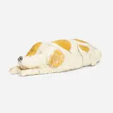 David Gilhooly, Dog