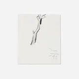 Alex Katz, Untitled, 1994, charcoal on paper