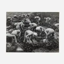 Seaweed Harvest by Yoshiyuki Iwase, 1956, vintage gelatin silver print, sold Mar 2024