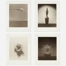 Robert Mapplethorpe, Flowers, 1984, lithograph