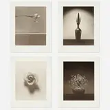 Robert Mapplethorpe, Flowers, 1984, lithograph