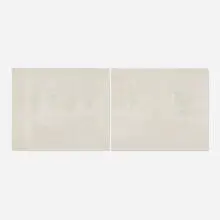 Kevin Appel, Woods: Southeast View (diptych), 2001, acrylic on paper laid to canvas