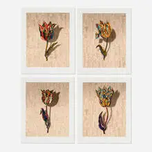 Gordon Cheung, Four works from the Tulipmania series, 2012, archival inkjet print with hand-painting