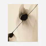 Paul Jenkins, Phenomena One Above