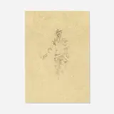 John Lear, Leaves, 1982-83, graphite on paper