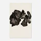 Hedda Sterne, Untitled