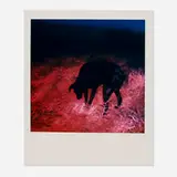 Michal Rovner, Untitled, 1987, unique Polaroid SX-70 print