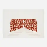 Richard Smith, II (from the Butterfly Suite)