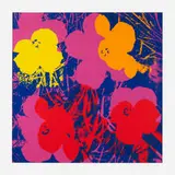 Sunday B. Morning, 11.66: Flowers, screenprint in colors
