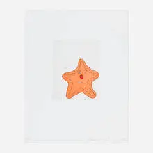 Starfish by Donald Baechler, 1999, soft-ground etching and aquatint in colors on Magnani Pescia, sold Aug 2023
