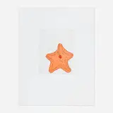 Donald Baechler, Starfish, 1999, soft-ground etching and aquatint in colors on Magnani Pescia