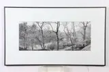 Bruce Davidson, Central Park 1990-1994